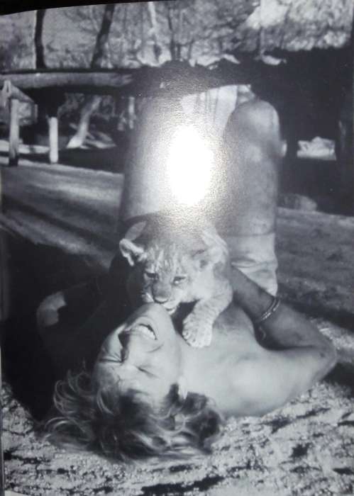 The Lions` Legacy - Gareth Patterson