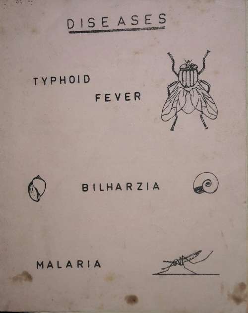 Diseases - E G White M.Sc., Ph.D.
