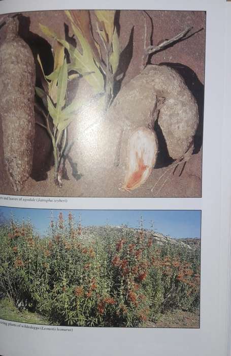People`s Plants - Ben-Erik van Wyk - Nigel Gericke