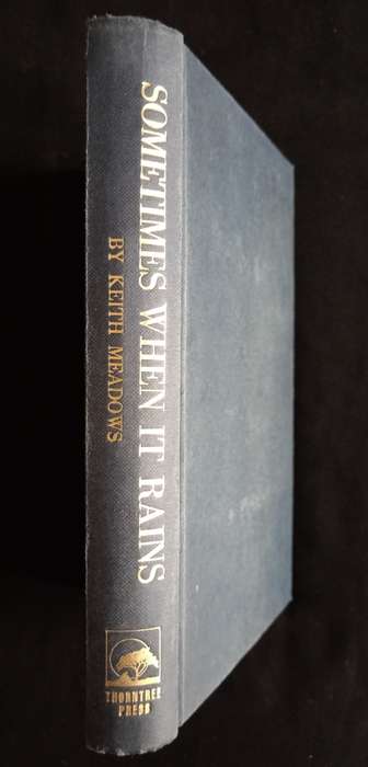 Sometimes When it Rains: White Africans in Black Africa by Keith Meadows