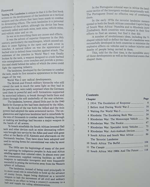 Taming the Landmine by Peter Stiff