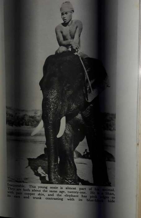 Elephant Bill - J H Williams