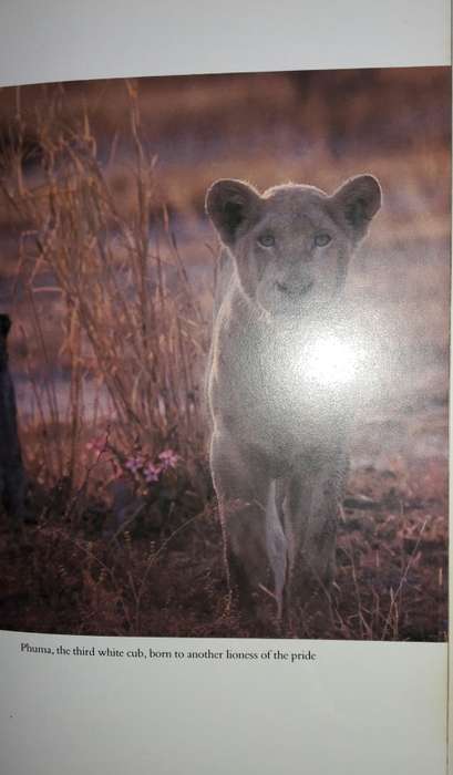 Operation White Lion - Chris McBride