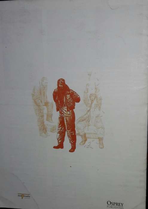 Men At War No. 24 - US Army Air Force - Pilots and Crew - Fighter Pilot - Italy - delPrado - Osprey