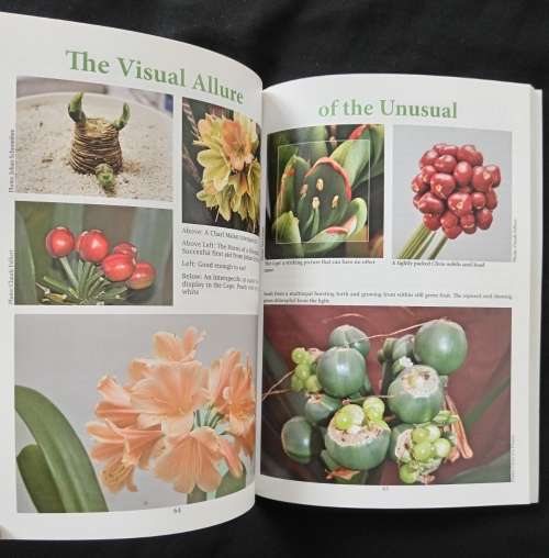 Clivia 8 Editors Claude Felbert, John van der Linde & Roger Dixon