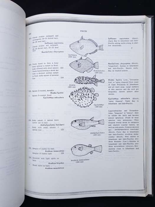 A Guide to Marine Life on South African Shores Vol 1 & 2 by J H Day