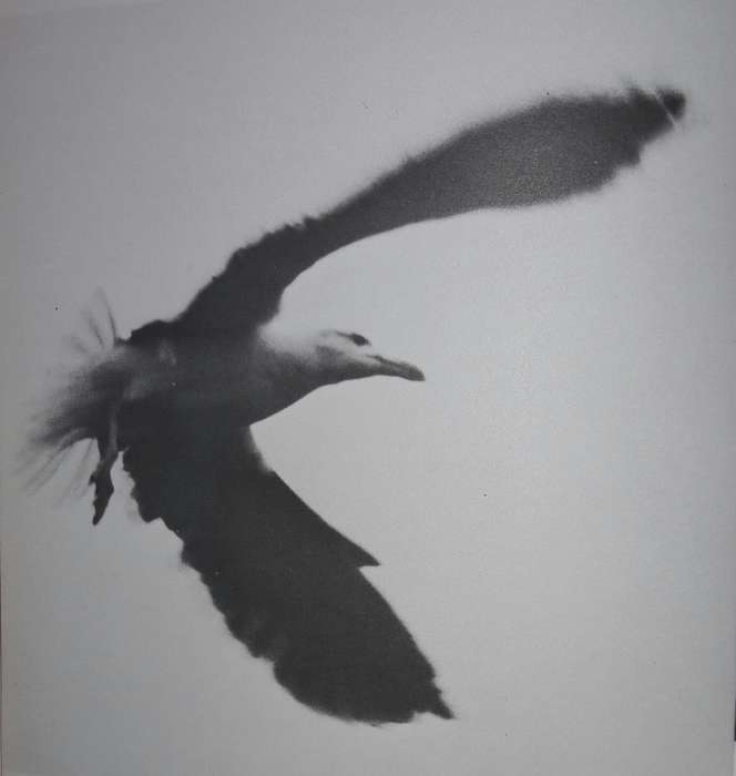 Jonathan Livingston Seagull - Richard Bach