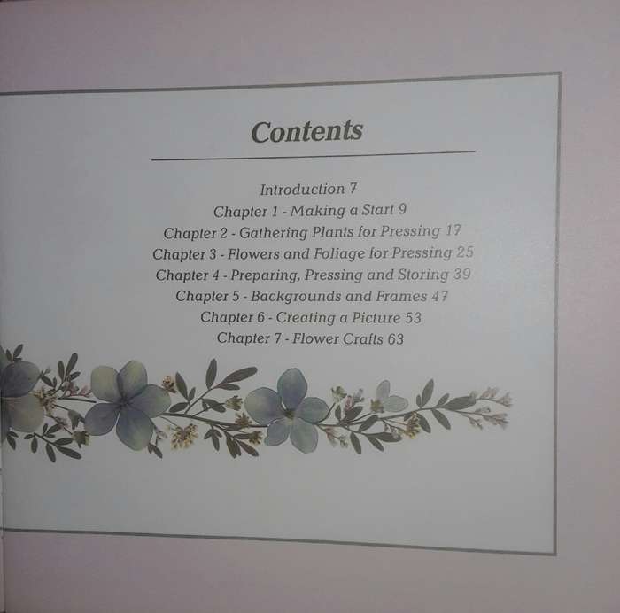 Pressed Flowers - A South African Guide - Cathy Bussi