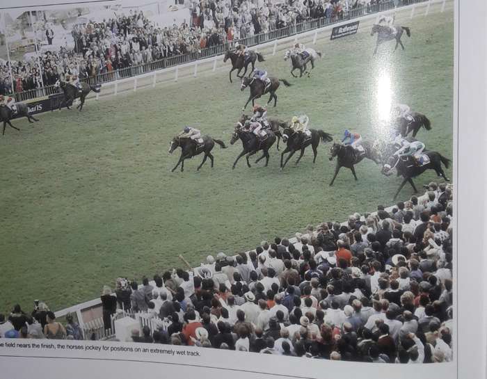 The History Of The Rothmans July Handicap - Ernie Duffield