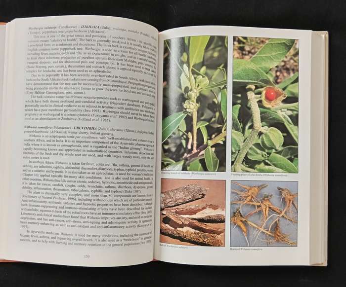 People`s Plants by Ben-Erik van Wyk & Nigel Gericke
