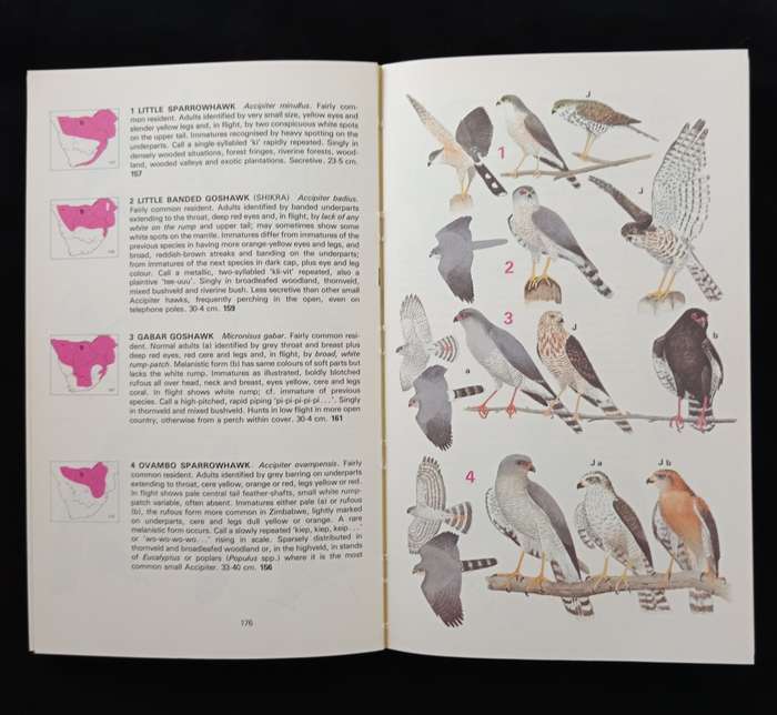 Newman`s Birds of Southern Africa by Kenneth Newman