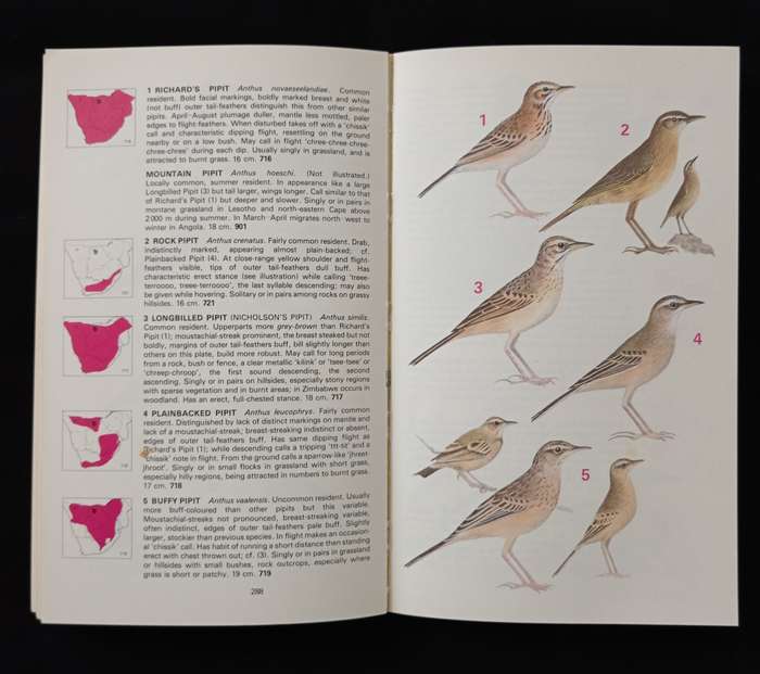 Newman`s Birds of Southern Africa by Kenneth Newman