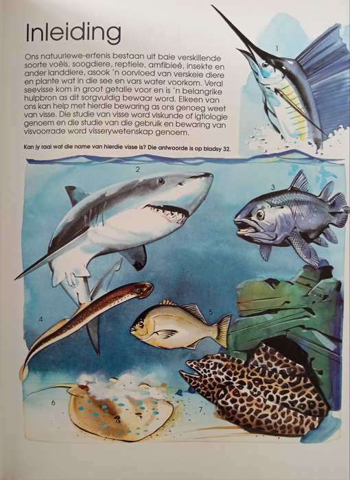 Seevisse van Suider-Afrika by Mike Bruton & David Thorpe