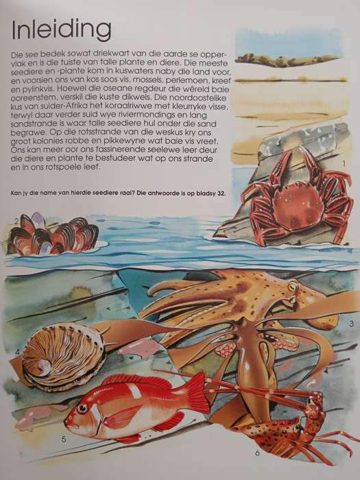 Seelewe van Suider-Afrika by Susan Matthews, David Thorpe & Charles Griffiths