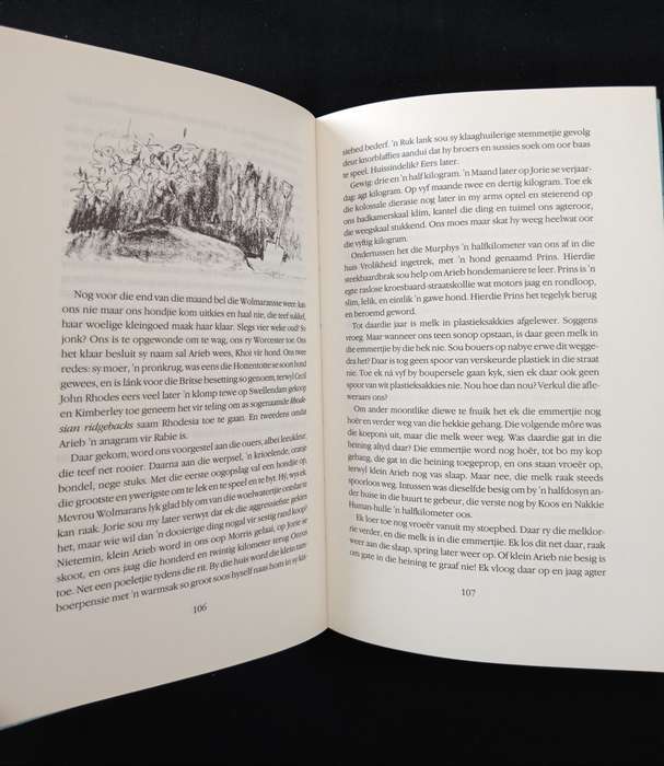 Ń Boek vir Onrus by Jan Rabie