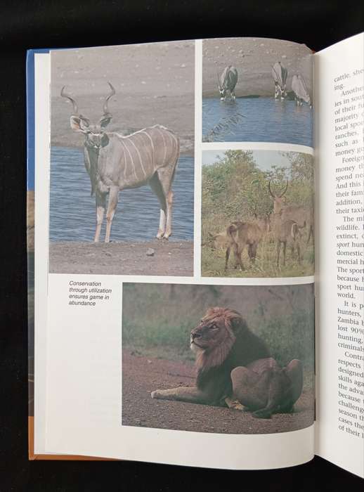 Hunting Africa A practical guide by GP Swan, DJ Notes & PL Smit
