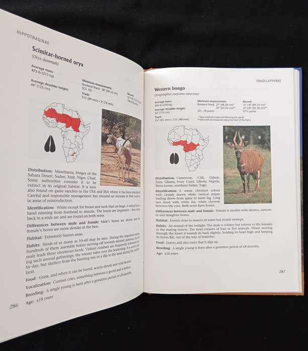 Hunting Africa A practical guide by GP Swan, DJ Notes & PL Smit