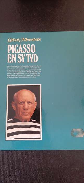 Groot Meesters Picasso en sy Tyd by Terry Measham