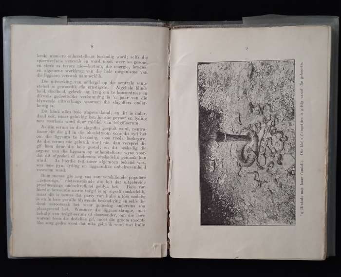 Solange en die behandeling van Slangbyt by FW Fitzsimons