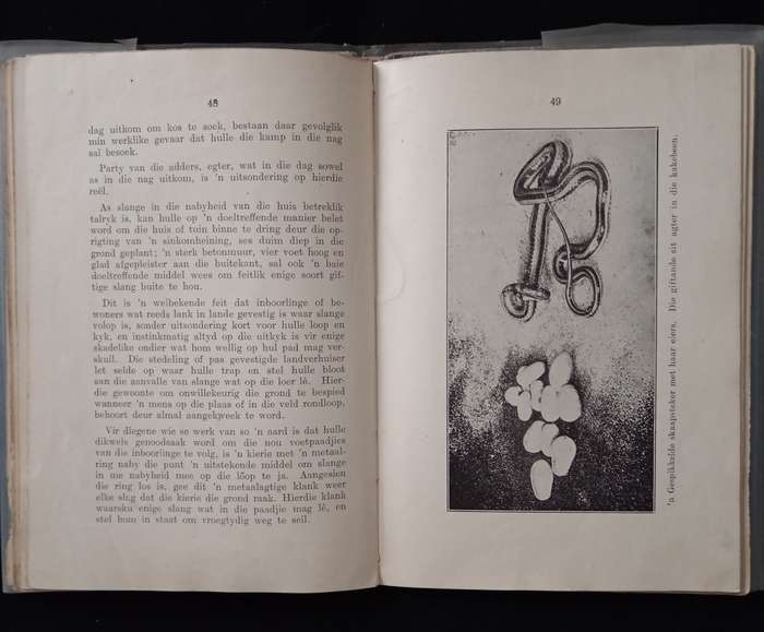 Solange en die behandeling van Slangbyt by FW Fitzsimons