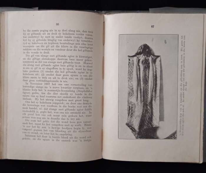 Solange en die behandeling van Slangbyt by FW Fitzsimons