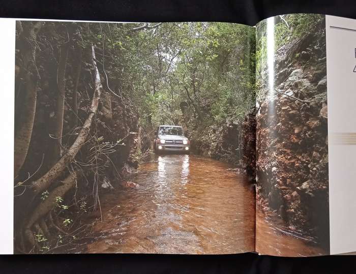 Masters of Africa The Toyota Collection Foreword by Dr Johan van Zyl