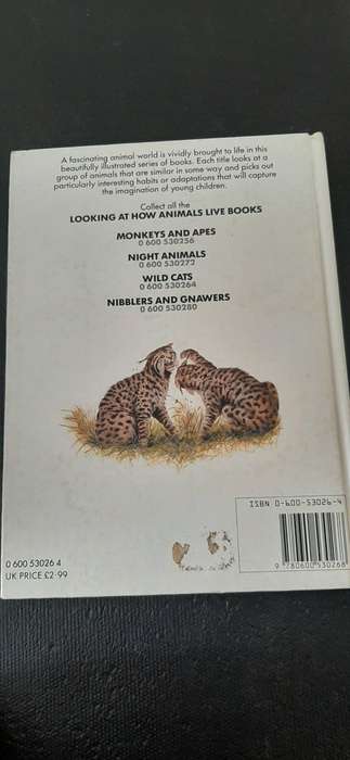 Looking at how animals live WILD CATS by Mark Carwardine