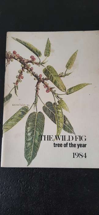 The Wild Fig - Tree of the year 1984 by W.J. Swart