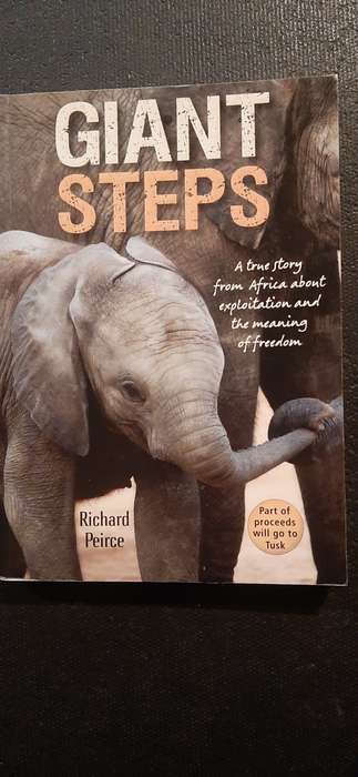 Giant Steps by Richard Peirce