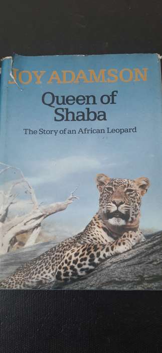 Queen of Shaba by Joy Adamson