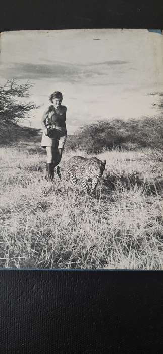 Queen of Shaba by Joy Adamson