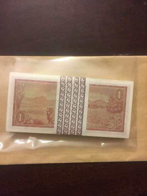 UNC pack of 100 x TW de Jongh R1 notes