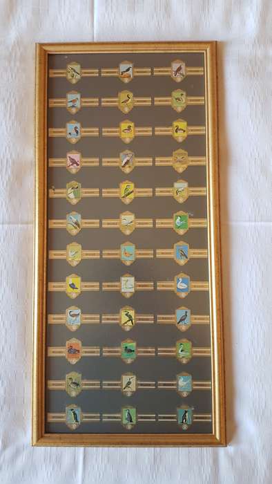 Cigar Band Collection: Long Frame with 36x different Bands Willem II Bird Series