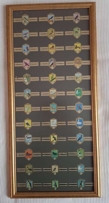 Cigar Band Collection: Long Frame with 36x different Bands Willem II Bird Series
