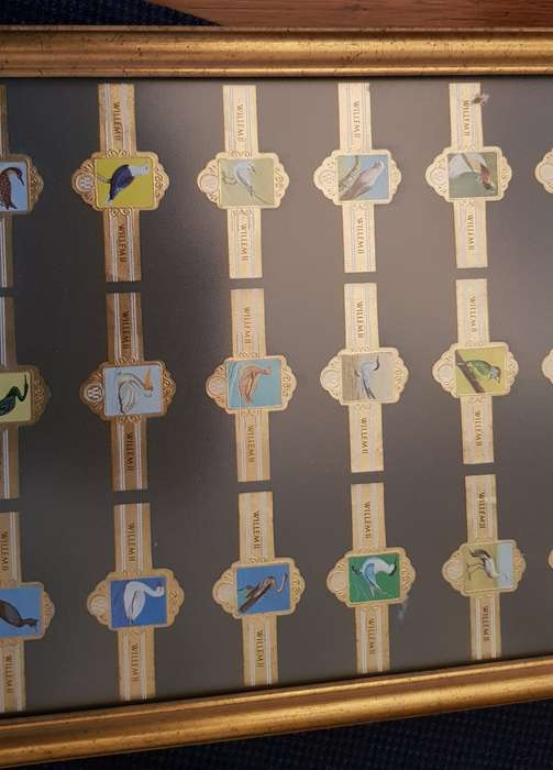 Cigar Band Collection: Long Frame with 36x different Bands Willem II Bird Series