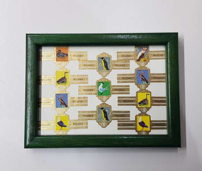 Vintage Cigar Band Collection: 1x Small Frame with various cigar bands