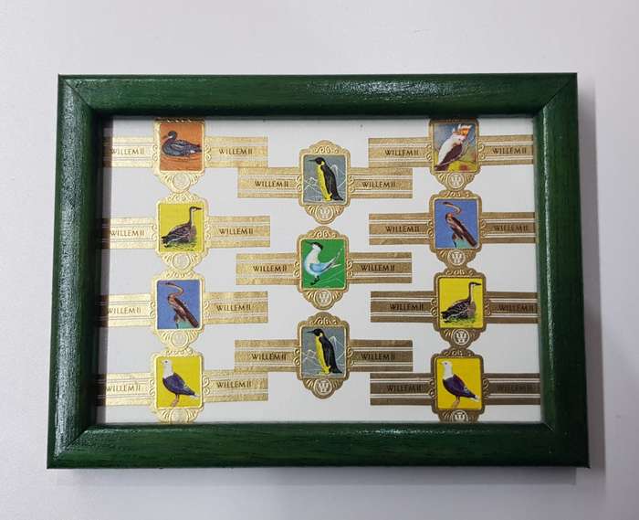 Vintage Cigar Band Collection: 1x Small Frame with various cigar bands