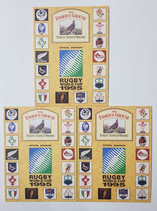 The Story of The Rugby World Cup South Africa 1995