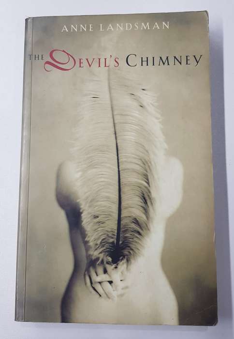 The Devils Chimney  Anne Landsman