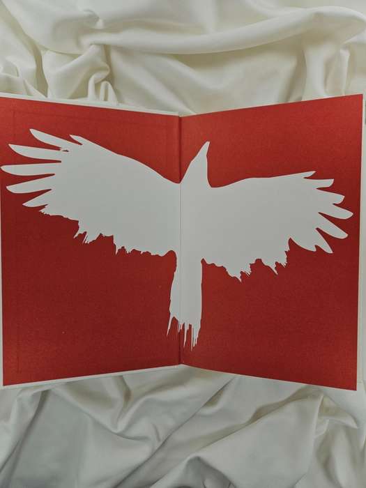 Ravens by George Dawes Green - Hardback