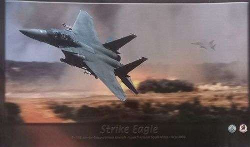 USAF F-15E Strike Eagle Poster (NO-15)
