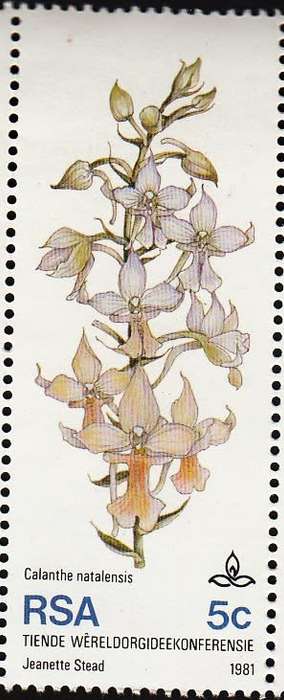 RSA 1981: 10th WORLD ORCHID CONFERENCE 5c MNH (SACC 502)