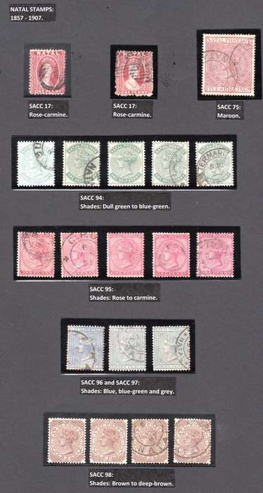 NATAL COLLECTION 1859-1909 BEAUTIFULLY LABELLED, MAINLY USED