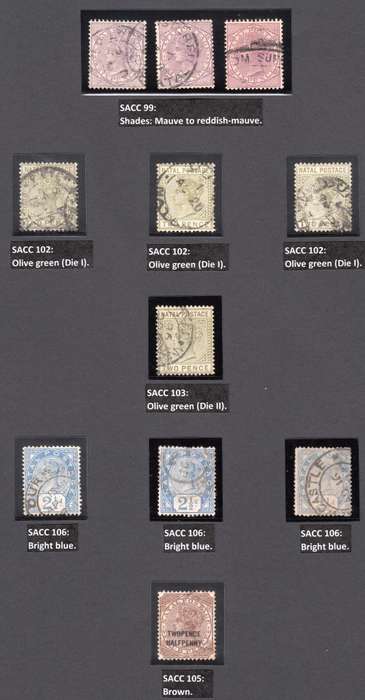 NATAL COLLECTION 1859-1909 BEAUTIFULLY LABELLED, MAINLY USED