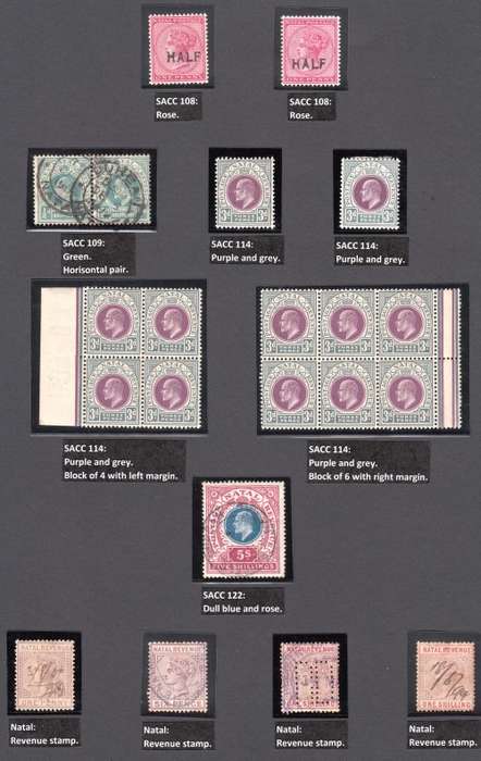 NATAL COLLECTION 1859-1909 BEAUTIFULLY LABELLED, MAINLY USED