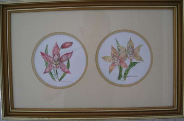 OIL PAINTING BY HEIDELINDE KLEINAU - 45x29 cm FRAMED