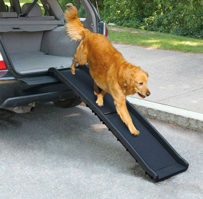 Folded Plastic Dog Ramp