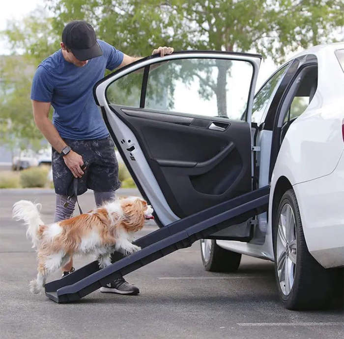 Folded Plastic Dog Ramp