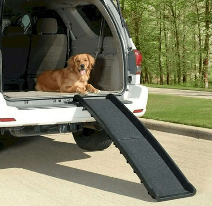 Folded Plastic Dog Ramp