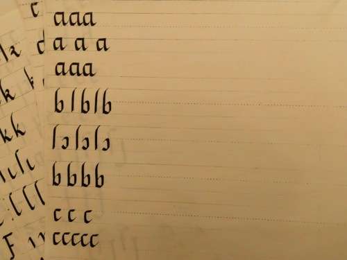 CALLIGRAPHY SET: NIB HOLDERS, NIBS, INSTRUCTIONS AND LEARNER EXERCISES